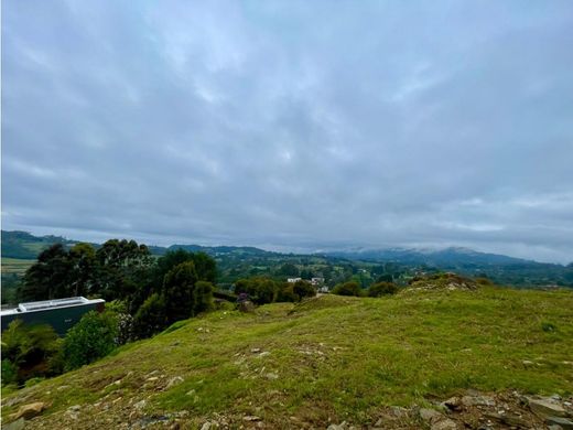 Teren w Envigado, Departamento de Antioquia
