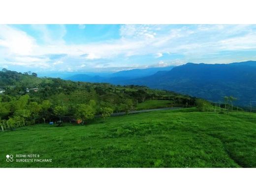 Αγροτεμάχιο σε Fredonia, Departamento de Antioquia