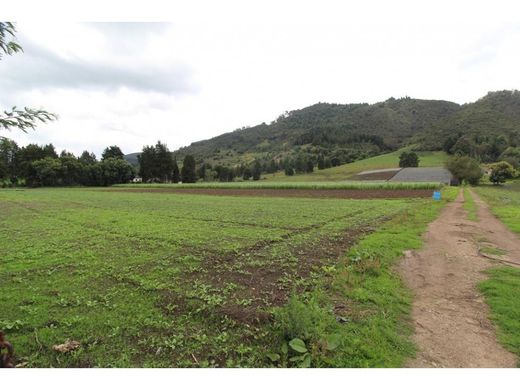 Boerderij in Subachoque, Departamento de Cundinamarca