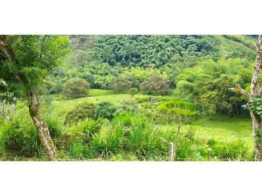 Rustico o casale a Pereira, Departamento de Risaralda