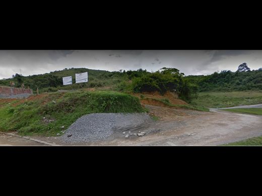 Arsa Manizales, Departamento de Caldas