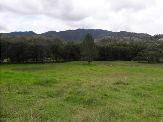 Retiro, Departamento de Antioquiaの土地