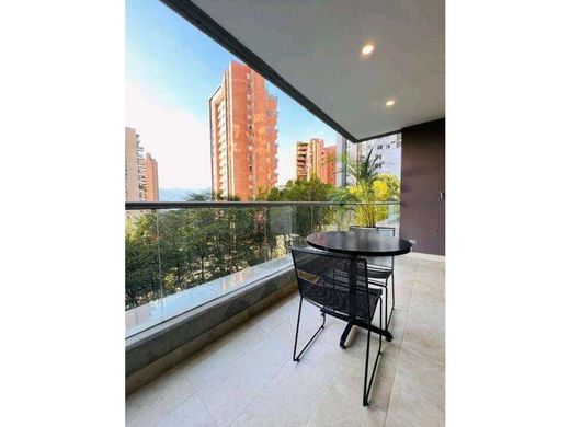 Daire Medellín, Departamento de Antioquia