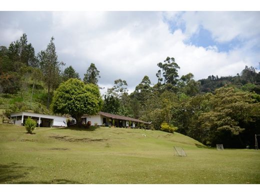 Rustik ya da çiftlik Rionegro, Departamento de Antioquia