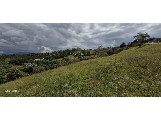 Αγροτεμάχιο σε Rionegro, Departamento de Antioquia