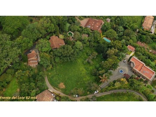 Участок, Сабанета, La Estrella