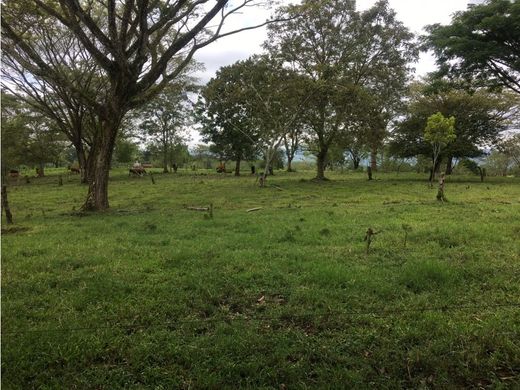 Farmhouse in Montenegro, Quindío Department