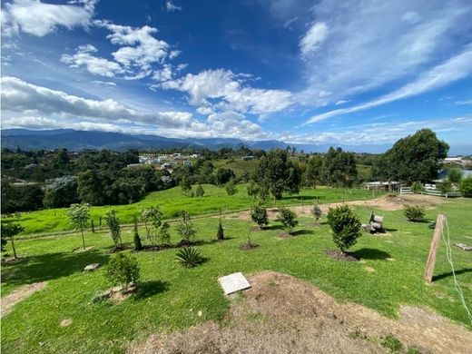 Land in Circasia, Quindío Department