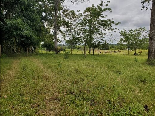 Terreno a Armenia, Quindío Department