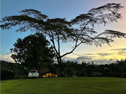 Land in San Vicente, San Vicente Ferrer