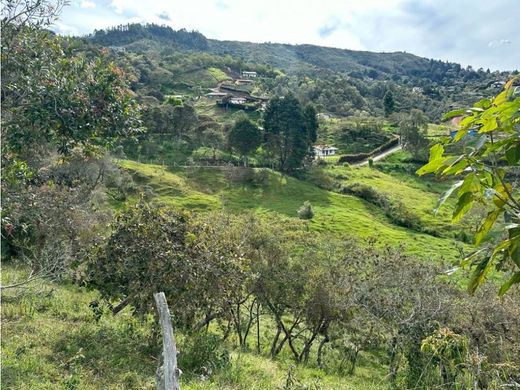 ‏קרקע ב  מדיין
, Medellín