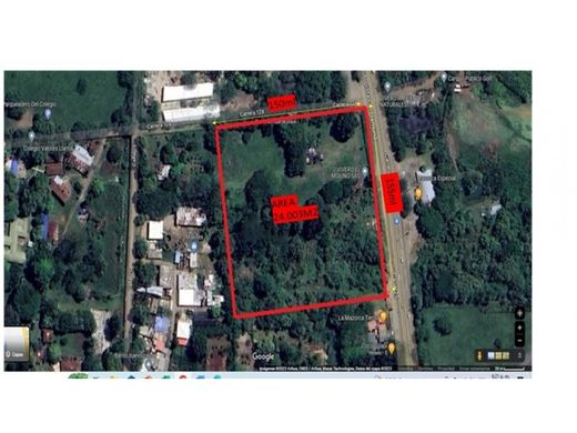 地皮  卡利, Cali