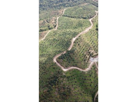 Cortijo o casa de campo en Titiribí, Departamento de Antioquia