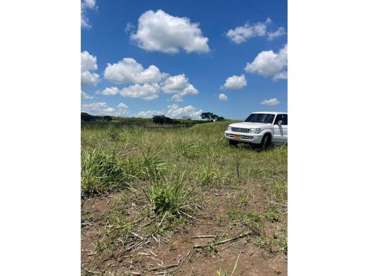 Участок, Перейра, Pereira