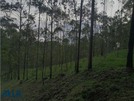 Terreno en El Bagre, Departamento de Antioquia