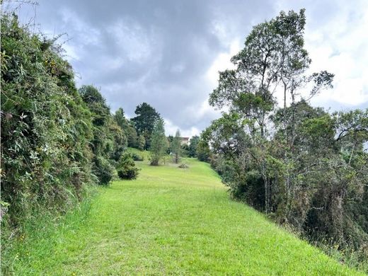 토지 / Envigado, Departamento de Antioquia