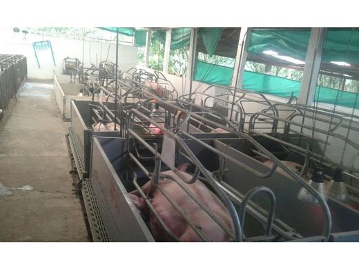 ‏בתים כפריים או חוות ב  Manizales, Departamento de Caldas