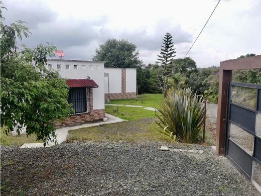 컨트리하우스 / Filandia, Quindío Department
