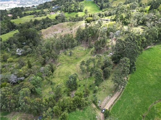 토지 / La Ceja, Departamento de Antioquia