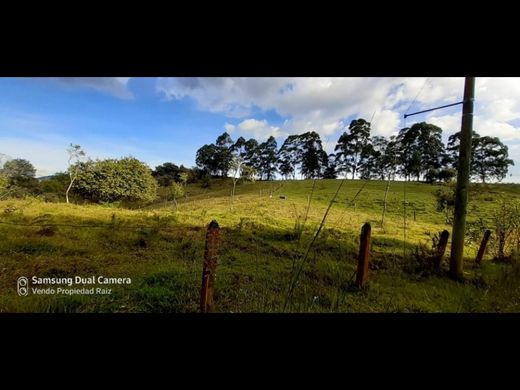 Grundstück in Rionegro, Departamento de Antioquia