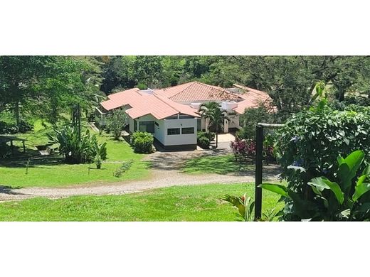 Rustik ya da çiftlik Fredonia, Departamento de Antioquia