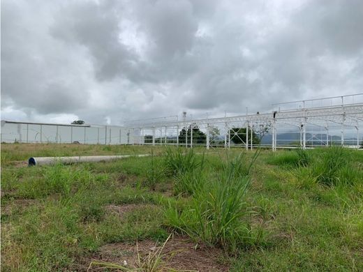 Terrain à Pereira, Departamento de Risaralda