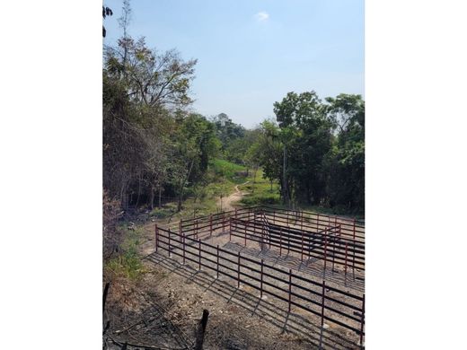 Farmhouse in Barrancabermeja, Departamento de Santander