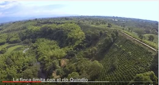 Ρουστίκ ή αγροικία σε Armenia, Quindío Department