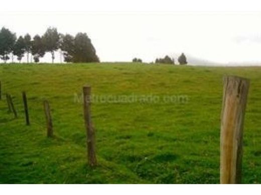 Terrain à Cota, Departamento de Cundinamarca