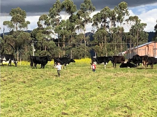 Rustykalny lub Wiejski w El Rosal, Departamento de Cundinamarca