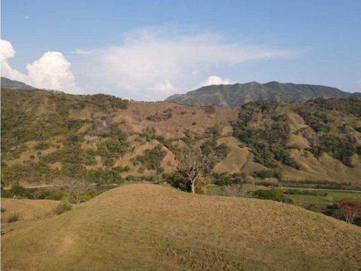 Land in Concordia, Departamento de Antioquia