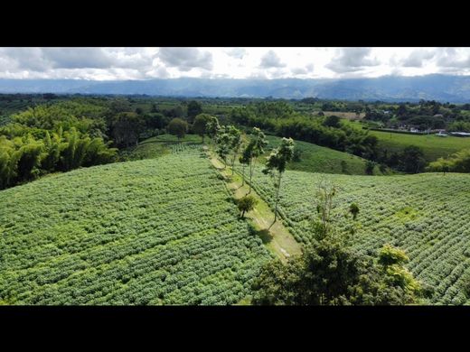Farmhouse in Armenia, Quindío Department