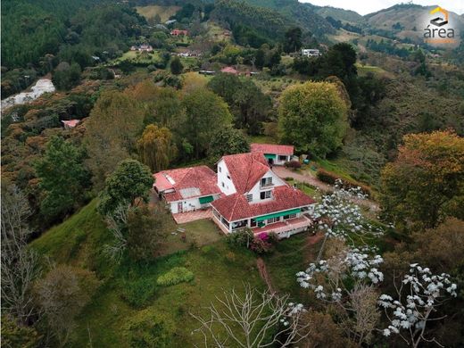 Rionegro, Departamento de Antioquiaのカントリー風またはファームハウス