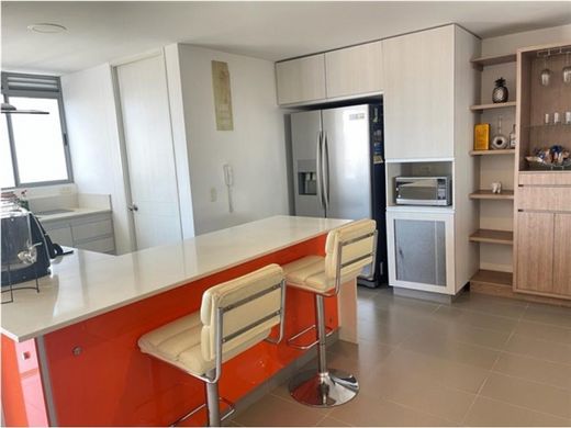 Daire Medellín, Departamento de Antioquia