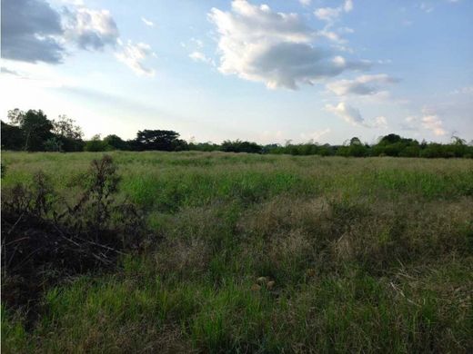 Terrain à La Tebaida, Quindío Department