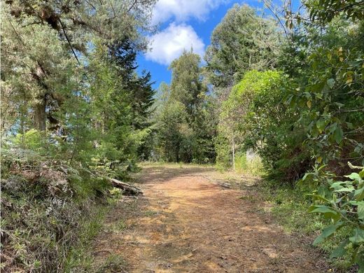 Land in Retiro, Departamento de Antioquia