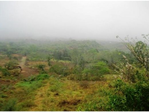Teren w Curití, Departamento de Santander
