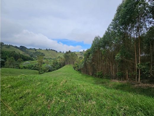 Terreno - Santa Rosa de Cabal, Departamento de Risaralda