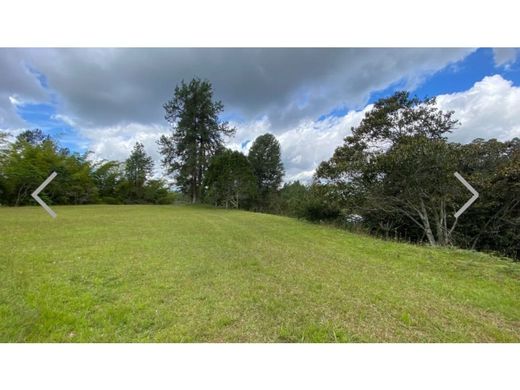 Terreno a Rionegro, Departamento de Antioquia