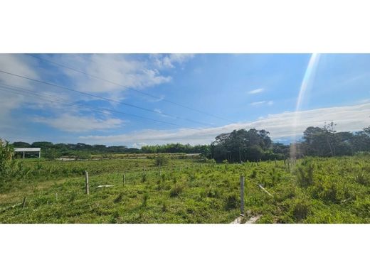 Terrain à Pereira, Departamento de Risaralda