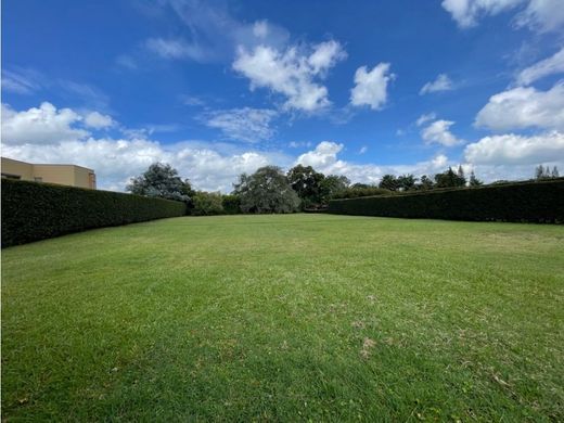 Teren w Rionegro, Departamento de Antioquia