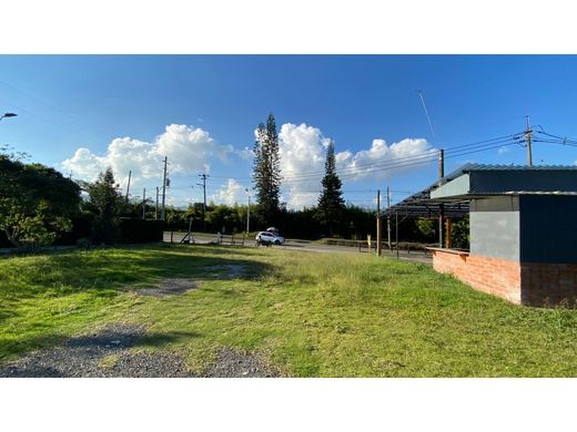 Terrain à Rionegro, Departamento de Antioquia