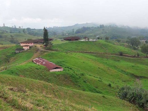 Quinta rústica - Sevilla, Departamento del Valle del Cauca