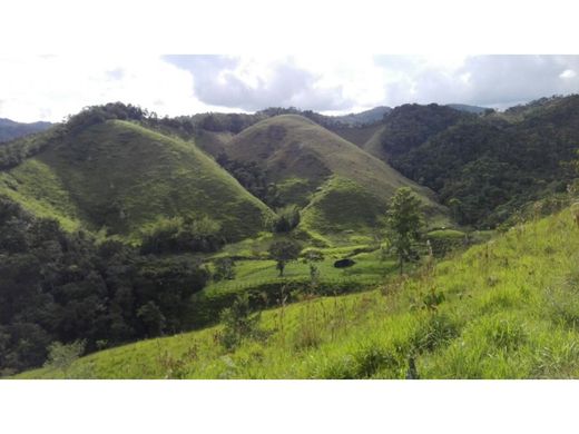 村舍/农舍  San Roque, Departamento de Antioquia