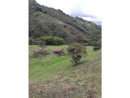 Ferme à Salento, Quindío Department