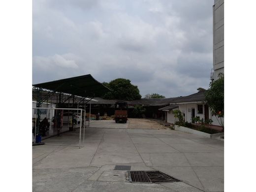 Arsa Cartagena, Cartagena de Indias