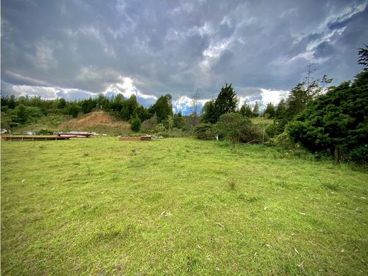 토지 / Guarne, Departamento de Antioquia