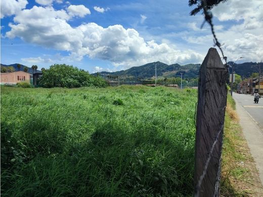 토지 / La Ceja, Departamento de Antioquia