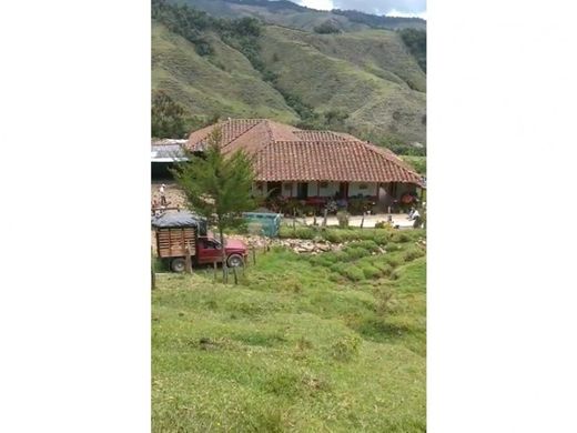 Cortijo o casa de campo en Támesis, Departamento de Antioquia