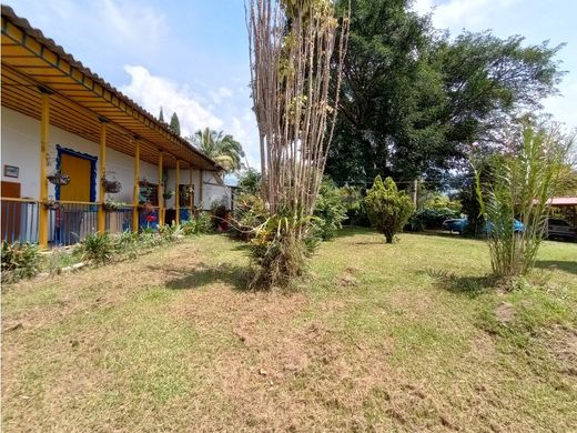 Terreno - Armenia, Quindío Department